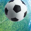 Fifa1981