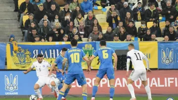 «К счастью, украинцы плохо выглядели в конце»: реакция боснийских фанатов на ничью со сборной Украины