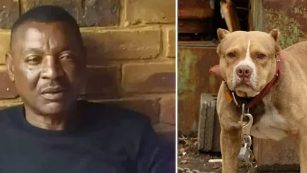 Африканского чемпиона загрызли собственные собаки: жена экс-футболиста могла спасти мужа, но не отреагировала